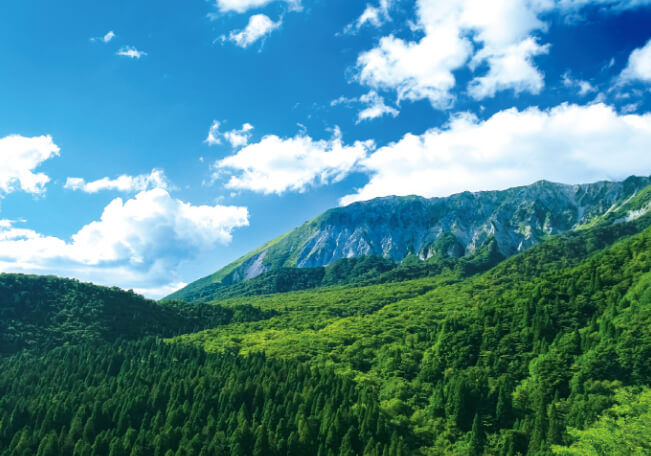 名峰大山の自然と天然水の画像